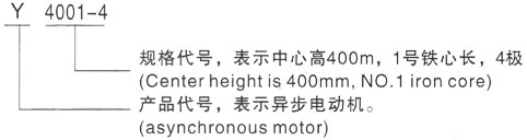 西安泰富西玛Y系列(H355-1000)高压JR146-6三相异步电机型号说明