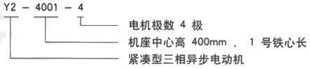 YR系列(H355-1000)高压JR146-6三相异步电机西安西玛电机型号说明